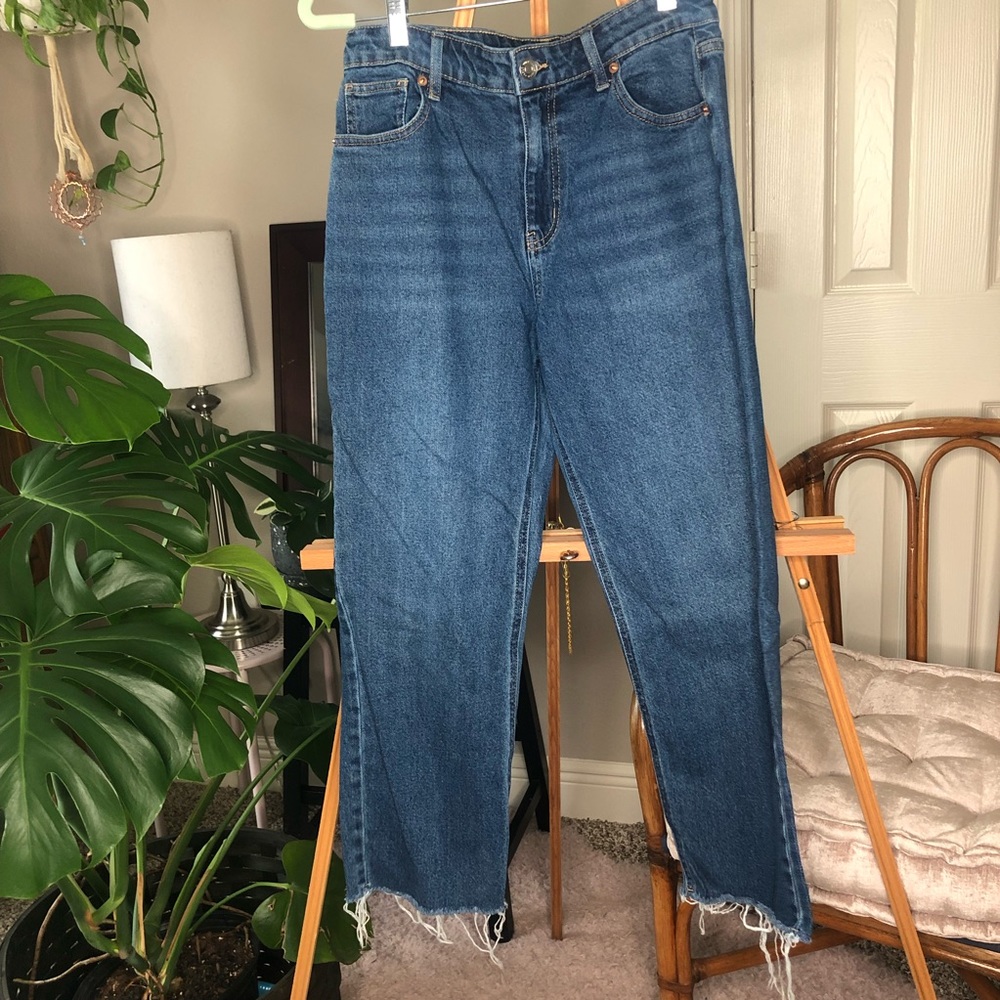 Wild Fable high waisted crop jeans